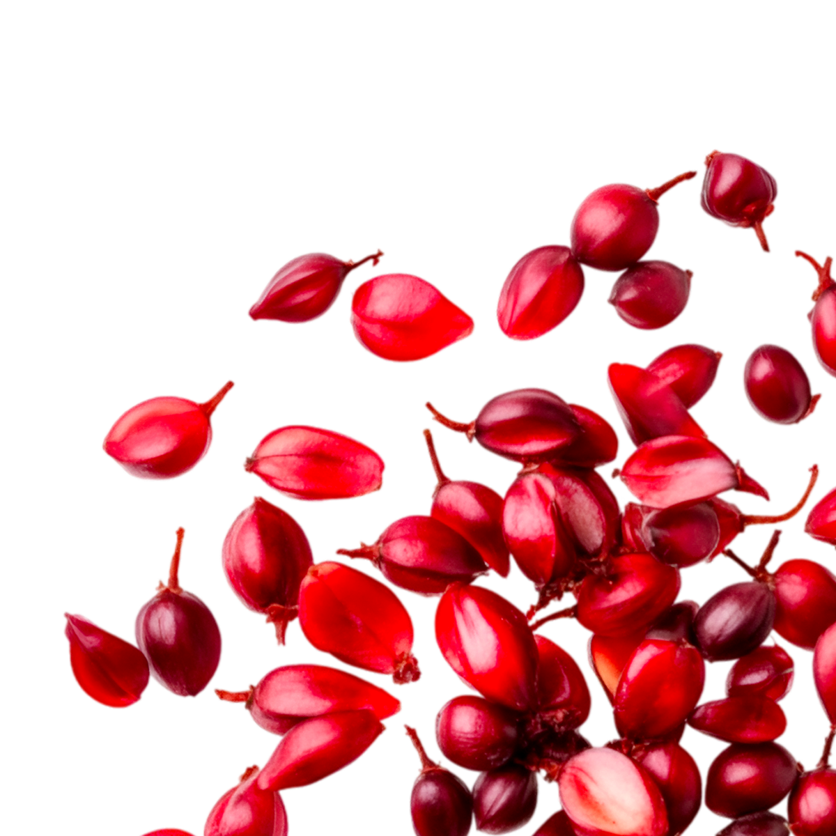 Service/Feature Image